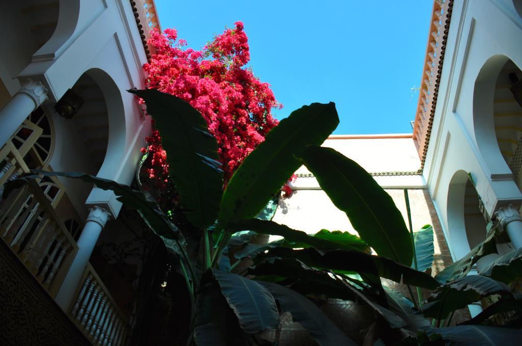 Riad Habib Marrakesch Exterior foto